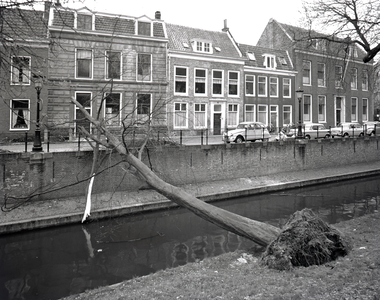102283 Afbeelding van een na een storm omgewaaide boom op de Nieuwegracht te Utrecht, met op de achtergrond de huizen ...